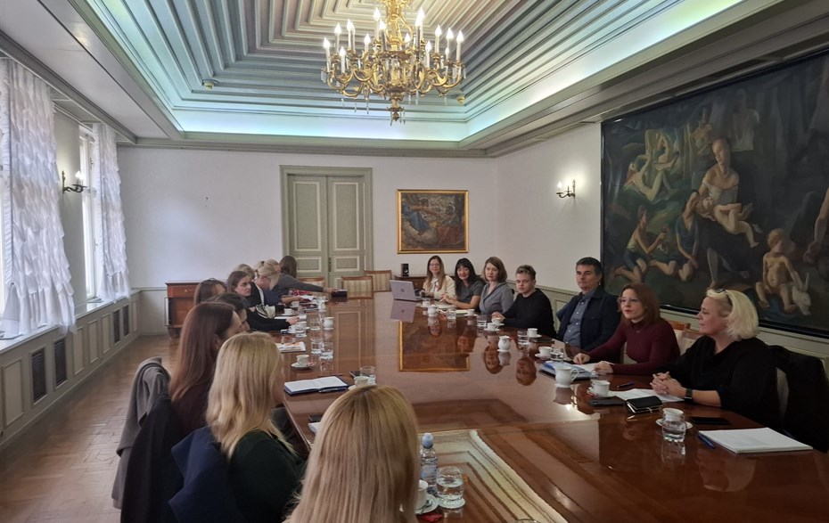 Održan konzultacijski sastanak radi unaprjeđenja borbe protiv nasilja nad ženama